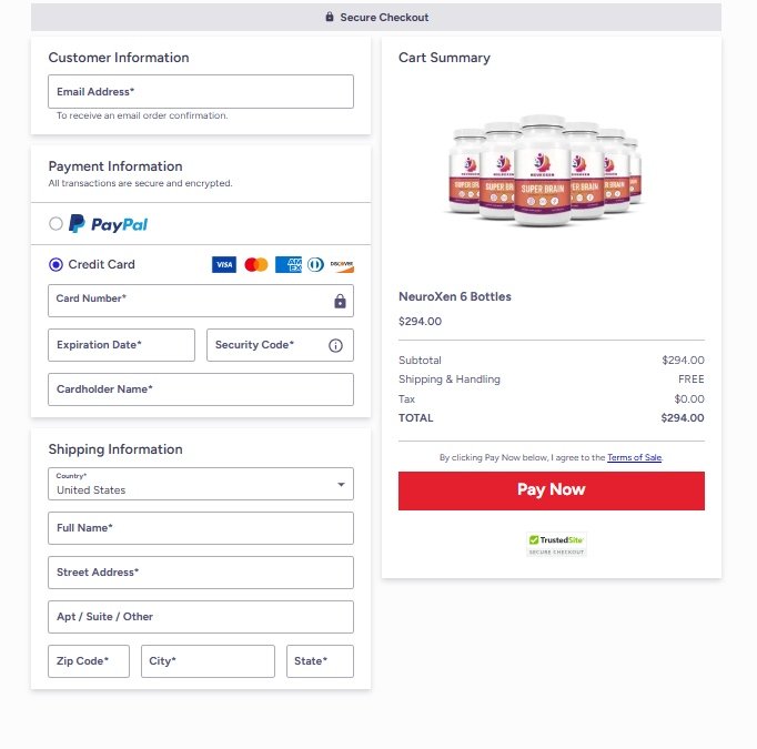 NeuroXen secure online payment